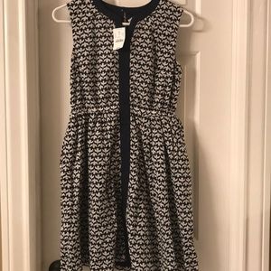 Crewcuts Navy and White Dress